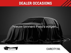 Seat Ibiza - 1.0 TSI Style Business / Camera / CarPlay / Navi / Cruise / Clima / Sensoren