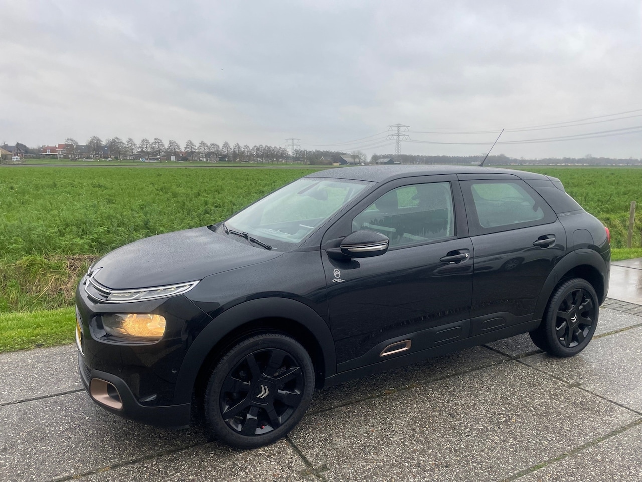 Citroën C4 Cactus - 1.2 PureTech Origins 1.2 PureTech Origins, Camera, Navigatie - AutoWereld.nl