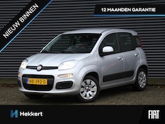 Fiat Panda - Edizione Cool 1.2 69pk TREKHAAK | CITY DRIVING MODE | RADIO | 12MND GARANTIE