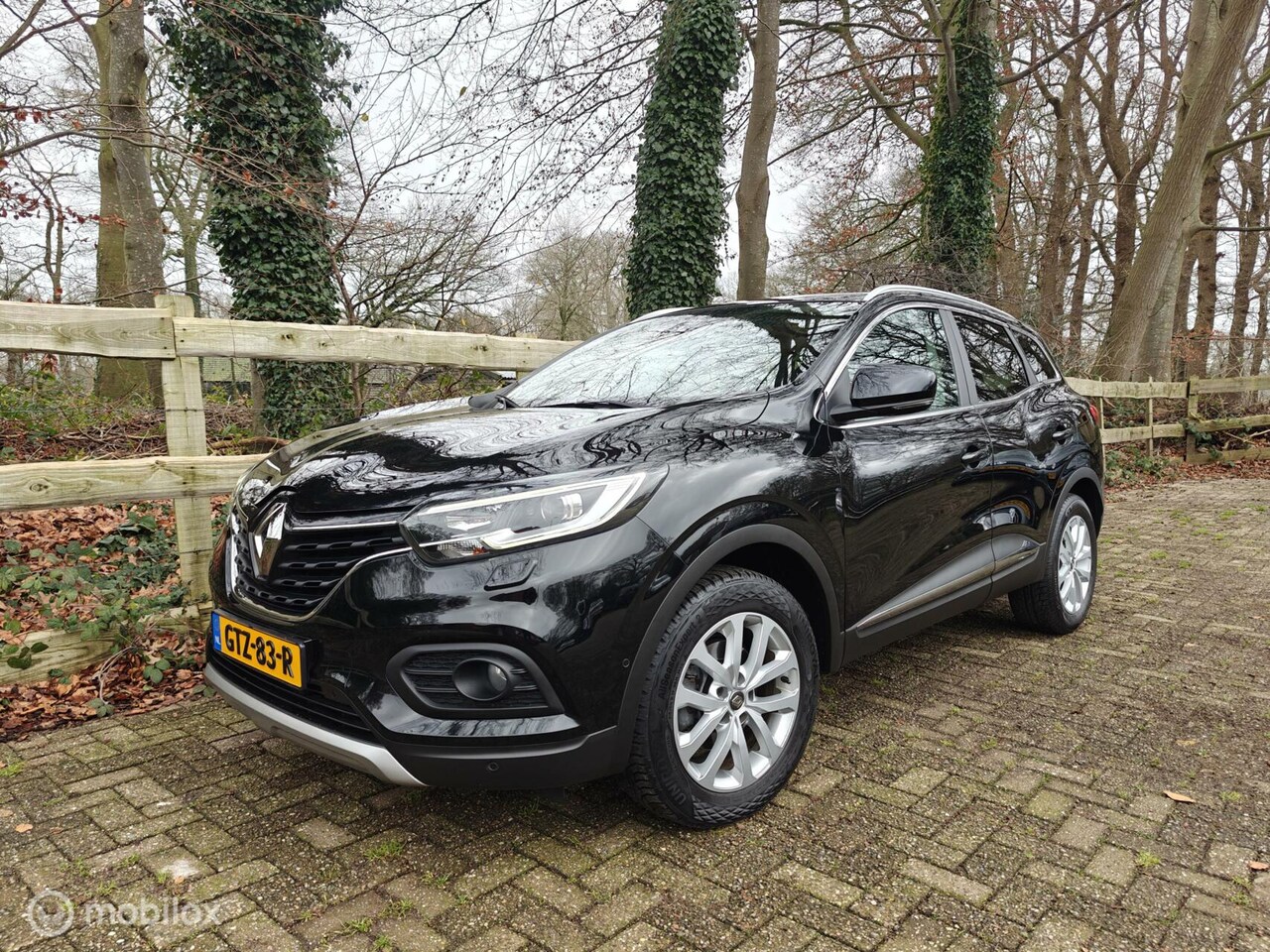 Renault Kadjar - 1.3 TCe Trekhaak,Stoelverw,Carplay,4S banden - AutoWereld.nl