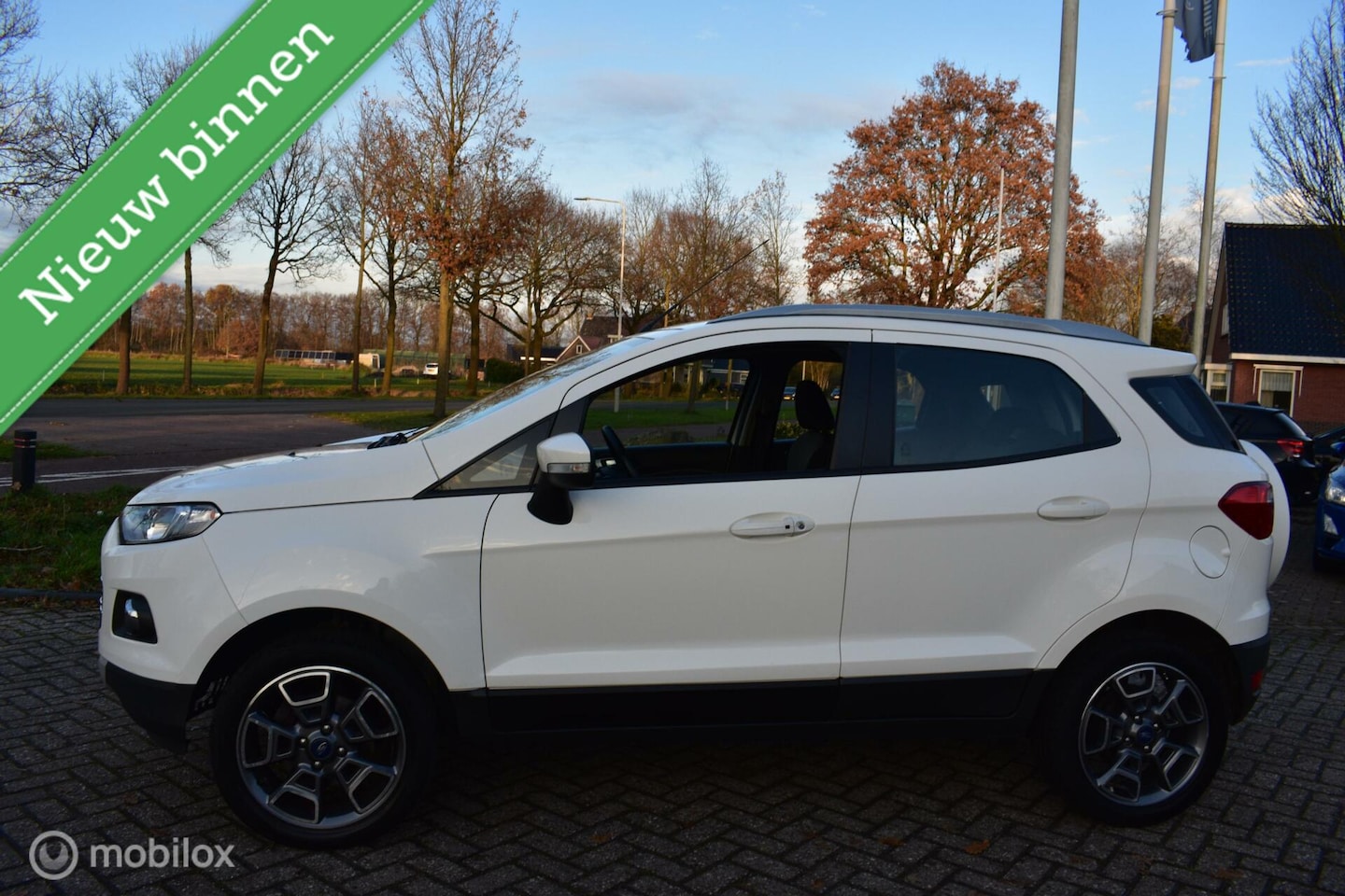 Ford EcoSport - 1.0 EcoBoost Titanium '014|Hoge instap|Cruise! - AutoWereld.nl