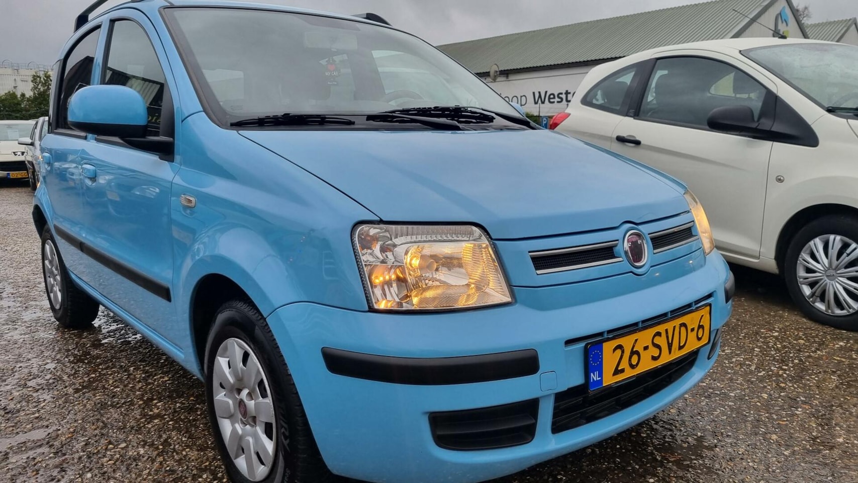 Fiat Panda - 1.2 Sempre - AutoWereld.nl