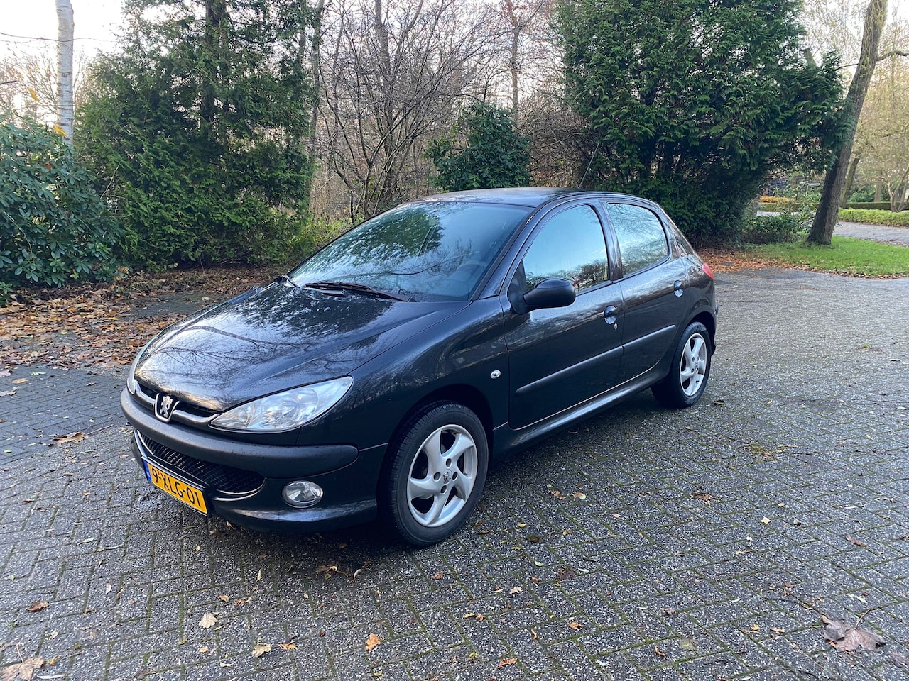 Peugeot 206 - 1.4 One-line - AutoWereld.nl