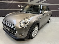 MINI Cabrio - 1.5 Cooper Chili Leder Chester Malt, LED, Climate. Zeer mooi