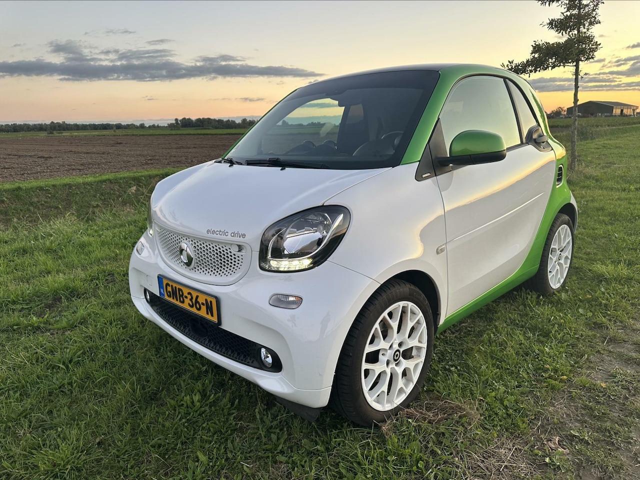 Smart Fortwo - electric drive prime 18 kWh | Panormadak | LM-Velgen | Stoelverwarming - AutoWereld.nl