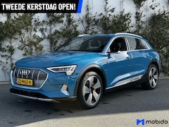 Audi e-tron - | 55 quattro | 95 kWh | Virtual spiegels