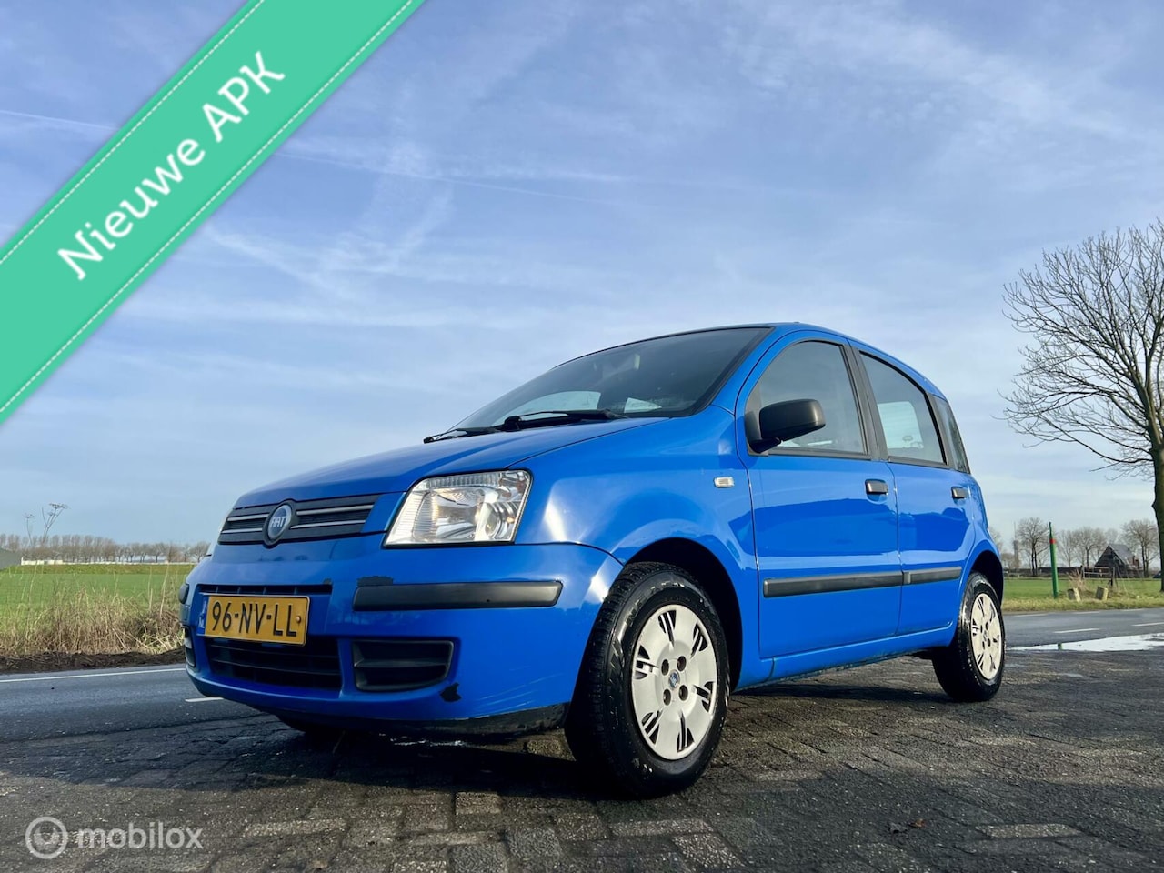 Fiat Panda - 1.2 Dynamic 1.2 Dynamic, BJ 2004, Lage km NAP, APK Jan 2026 - AutoWereld.nl