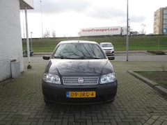 Fiat Punto - 1.2 Active