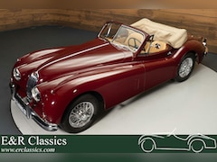 Jaguar XK - XK140 DHC SE | Uitvoerig gerestaureerd | 1956