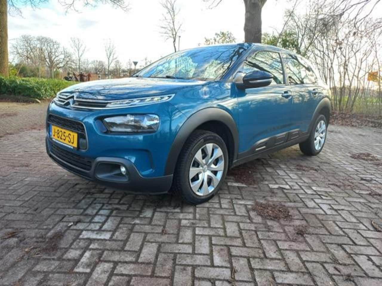 Citroën C4 Cactus - 1.2 PureTech Feel airco cruis navi elk ramen - AutoWereld.nl