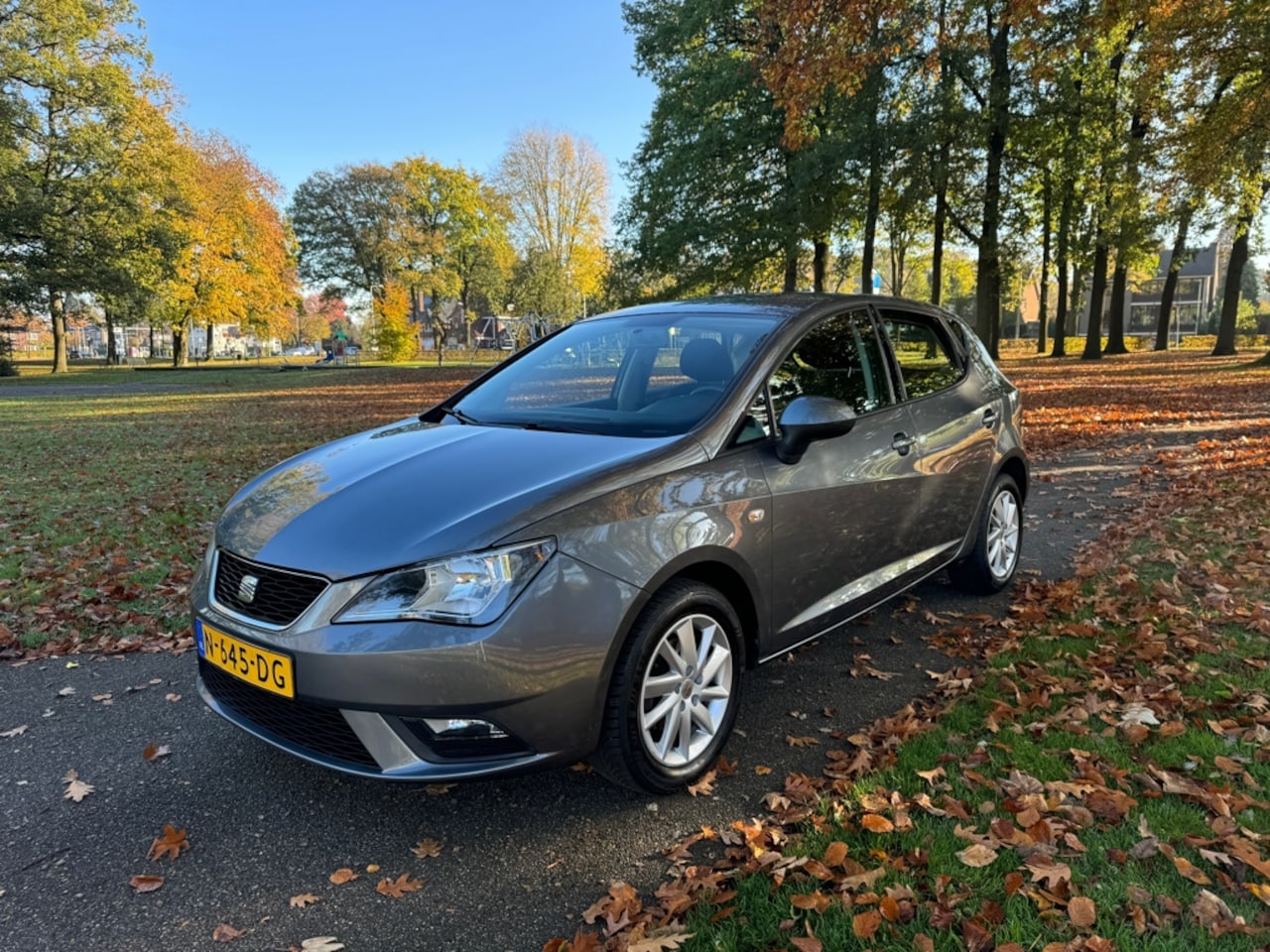 Seat Ibiza - 1.4 COPA Plus Mooie en goed onderhouden auto - AutoWereld.nl