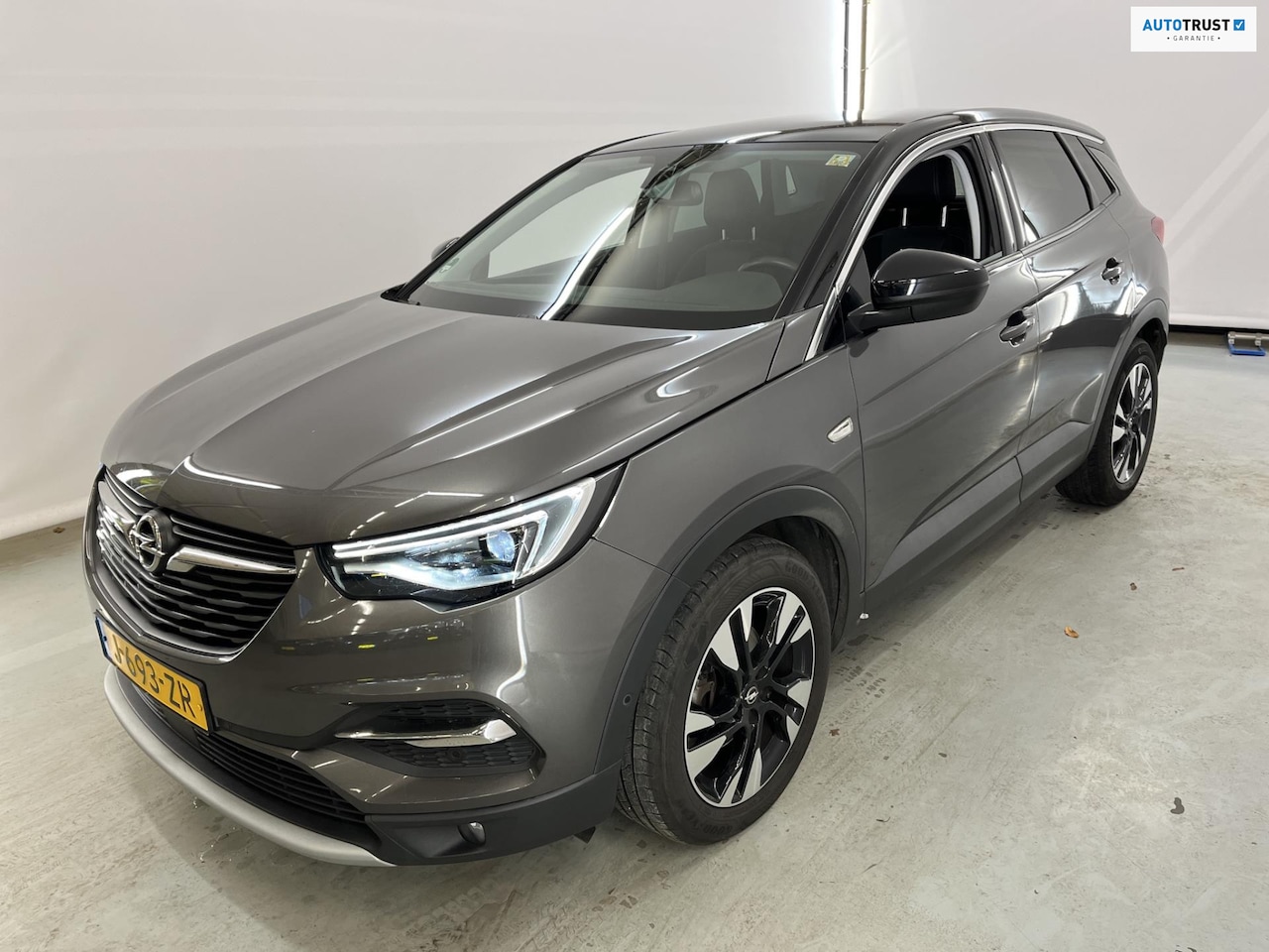 Opel Grandland X - 1.6 Turbo 181pk Automaat Business Executive | Panoramadak | ACC | Navi | Camera | Trekhaak - AutoWereld.nl