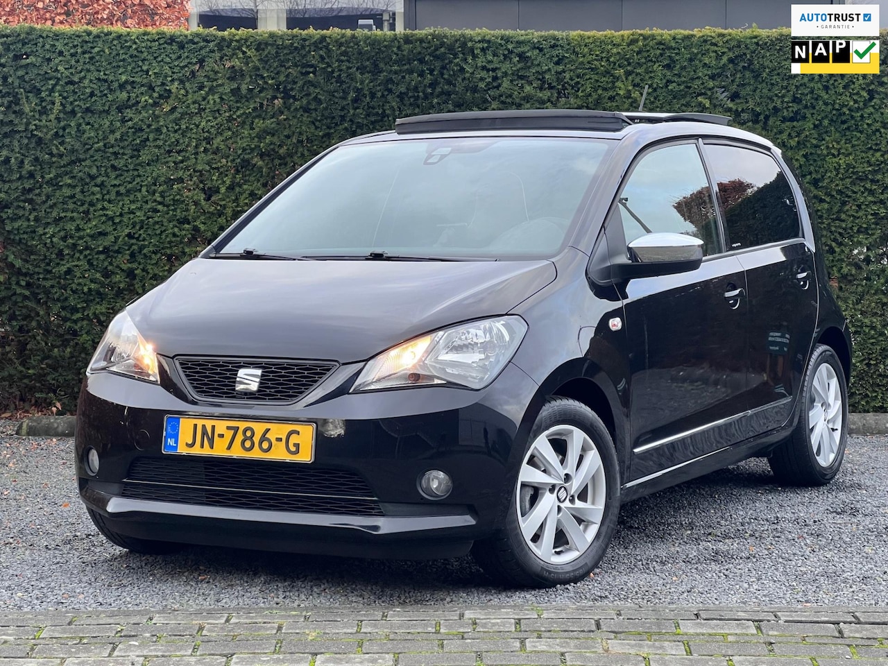 Seat Mii - 1.0 Mii by Mango | Pano | PDC | Cruise | Airco - AutoWereld.nl