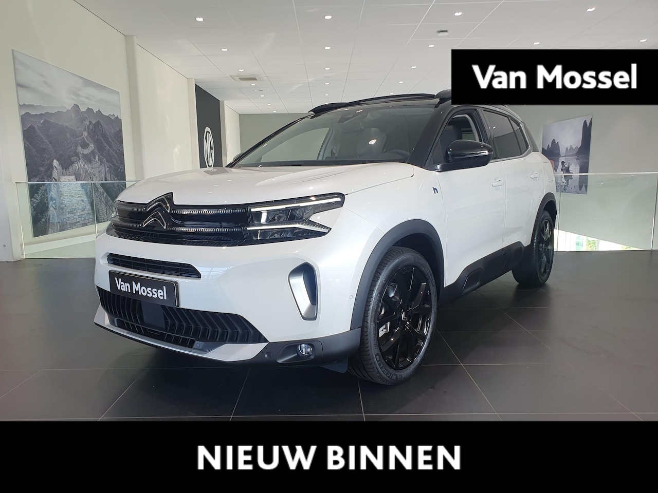 Citroën C5 Aircross - ë-Series PHEV - PANORAMISCH SCHUIF/KANTELDAK - CAMERA - ALCANTARA - AutoWereld.nl