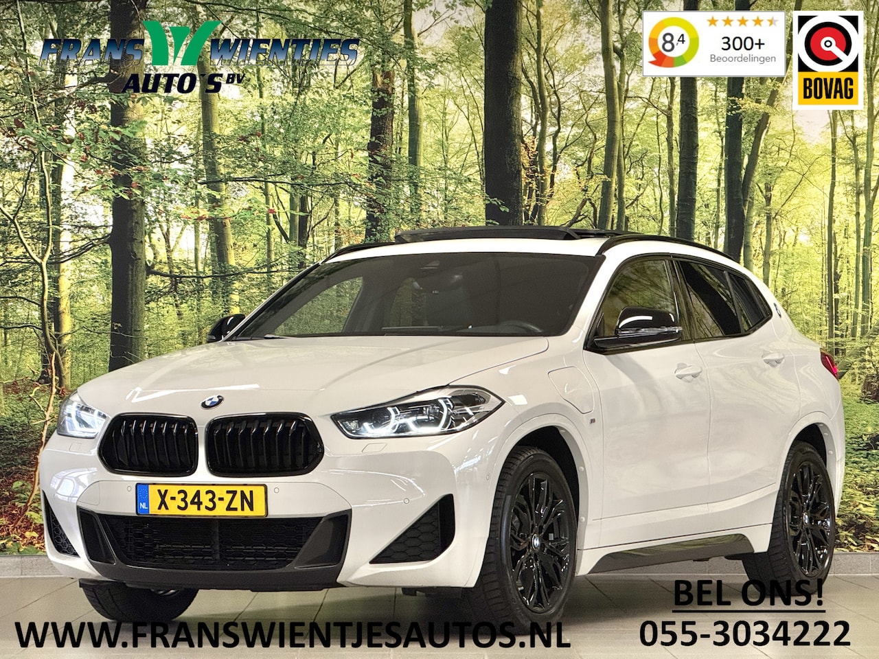 BMW X2 - xDrive25e High Executive | M Pakket | Panoramadak | Head-Up Display | Harman & Kardon | Ap - AutoWereld.nl