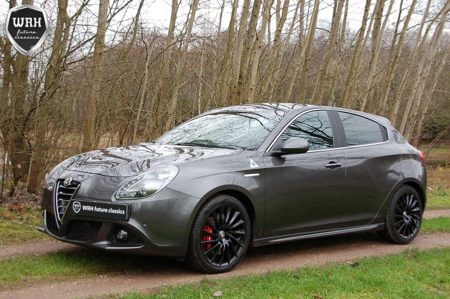 Alfa Romeo Giulietta - QV 1750 TBI TCT 73dkm 1e eig! - AutoWereld.nl