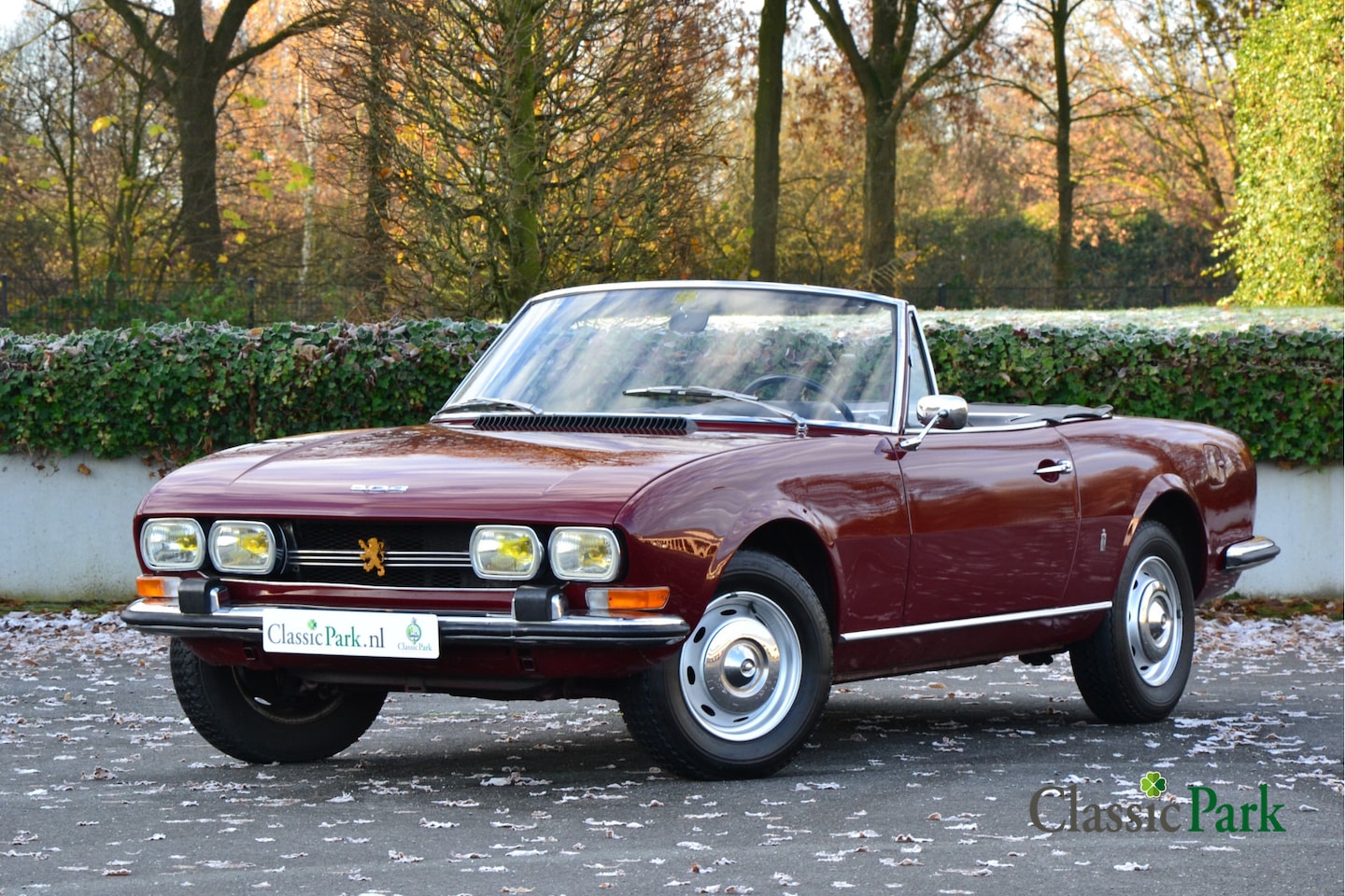 Peugeot 504 - cabriolet - AutoWereld.nl