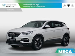 Opel Grandland X - 1.2 Turbo Business Executive Winterpakket | Adap. Cruise Control | Achteruitrijcamera | El