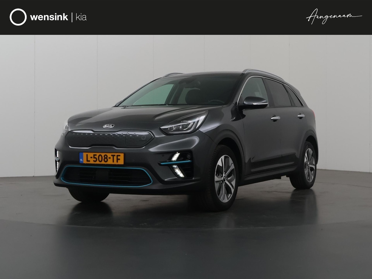 Kia e-Niro - ExecutiveLine 64 kWh | Panoramadak | Lederen Bekleding | Stoelventilatie | Elektrisch vers - AutoWereld.nl