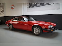 Jaguar XJS - Xj-s V12 Coupe Collectors Edition superb survivor (1991)