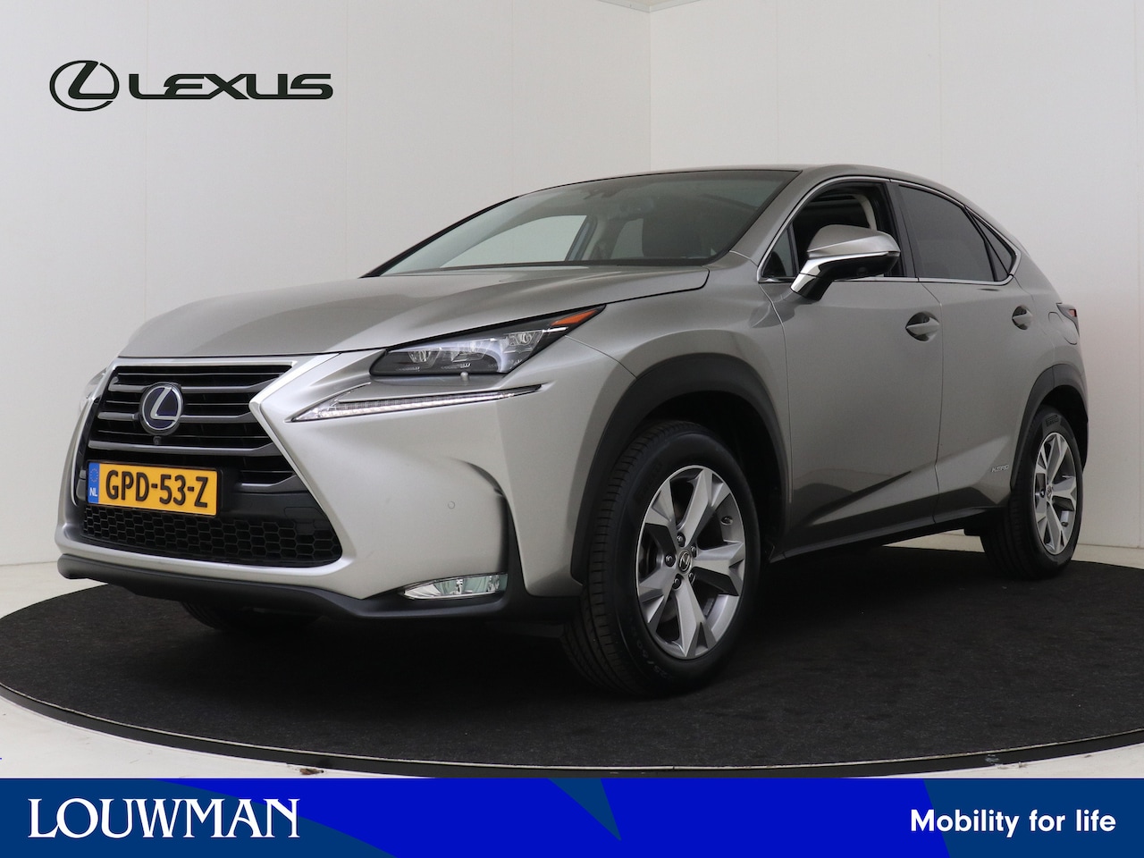 Lexus NX - 300h AWD President Line Limited | Mark Levinson | Panoramadak | 360 Camera | - AutoWereld.nl