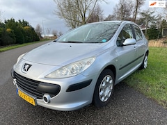 Peugeot 307 - 1.6-16V D.Sign|zeer goed onderhouden