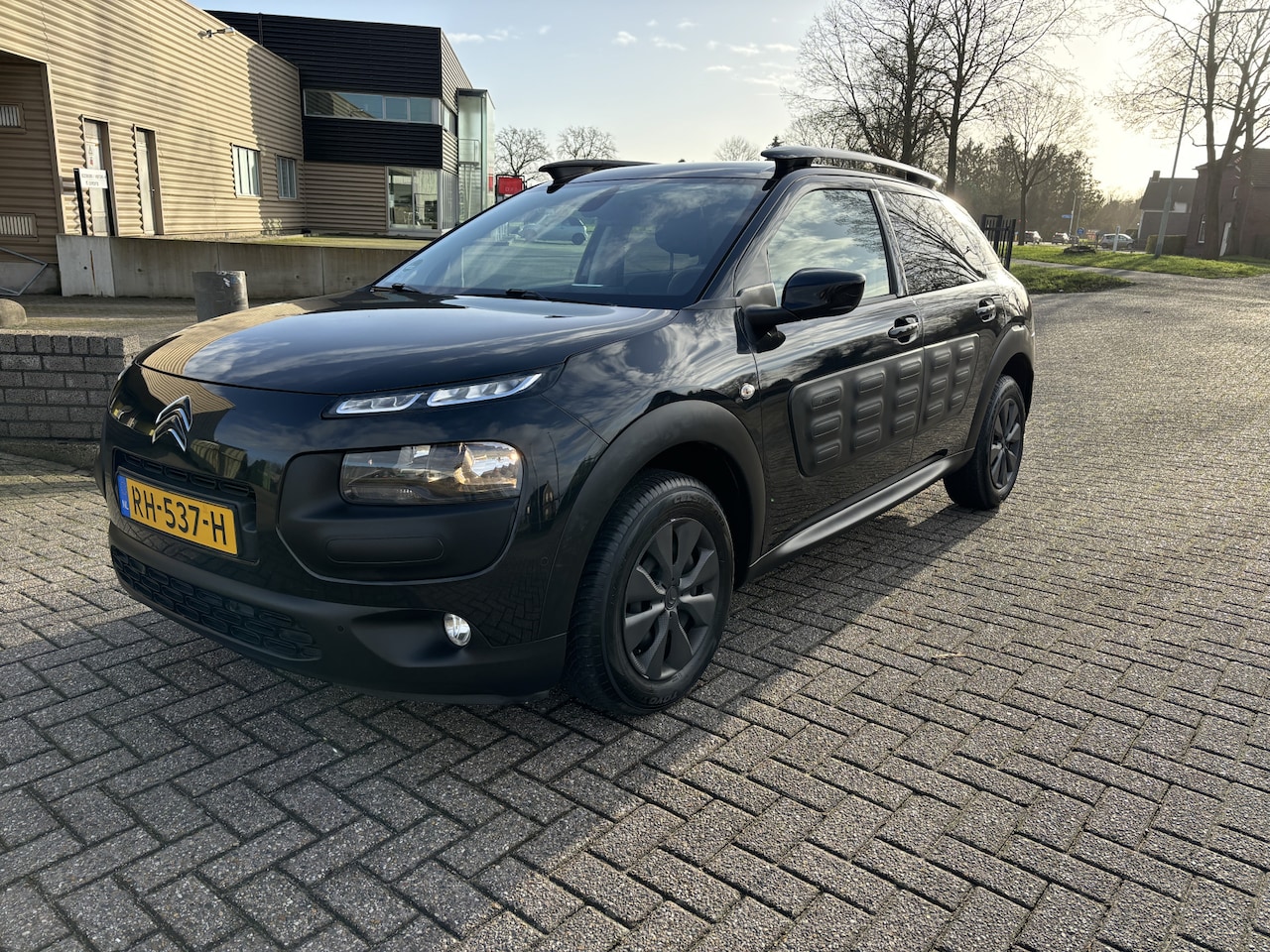 Citroën C4 Cactus - 1.6 BlueHDi Business Plus [ panodak,fm navi,camera,ecc,cruise,trekhaak ] - AutoWereld.nl