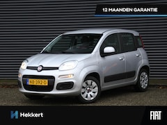 Fiat Panda - Edizione Cool 1.2 69pk TREKHAAK | CITY DRIVING MODE | RADIO | 12MND GARANTIE