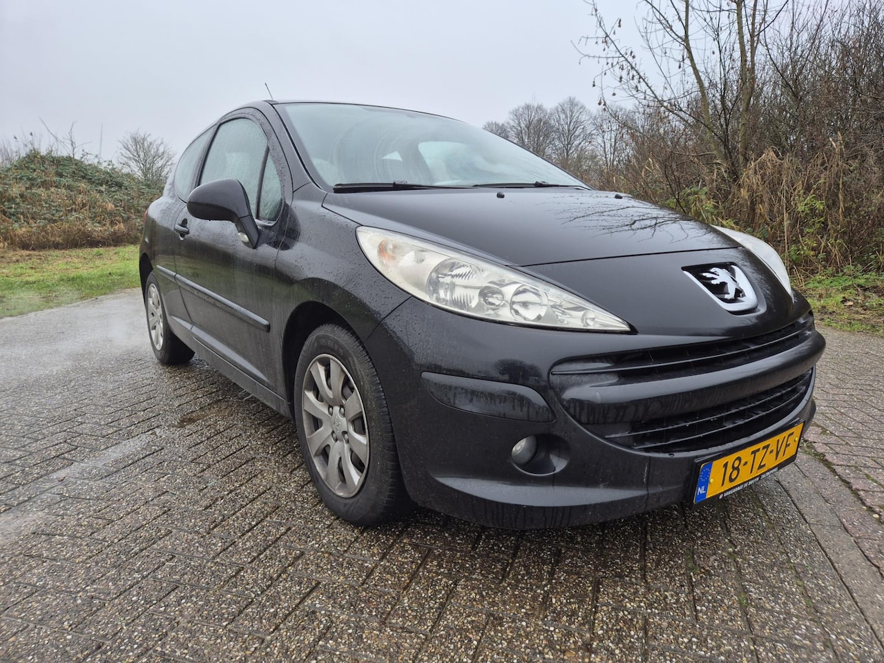 Peugeot 207 - 1.4 Color-line Koppakking lek. - AutoWereld.nl