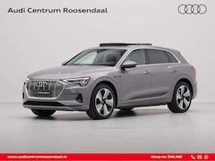 Audi e-tron - 55 quattro advanced 95 kWh Panorama Leder Camera Stoelverwarming 78