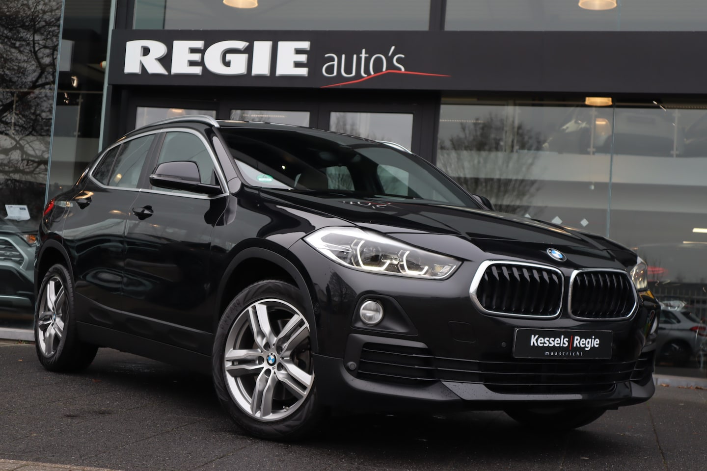 BMW X2 - sDrive20i High Executive Leer Navi HuD HiFi LED - AutoWereld.nl