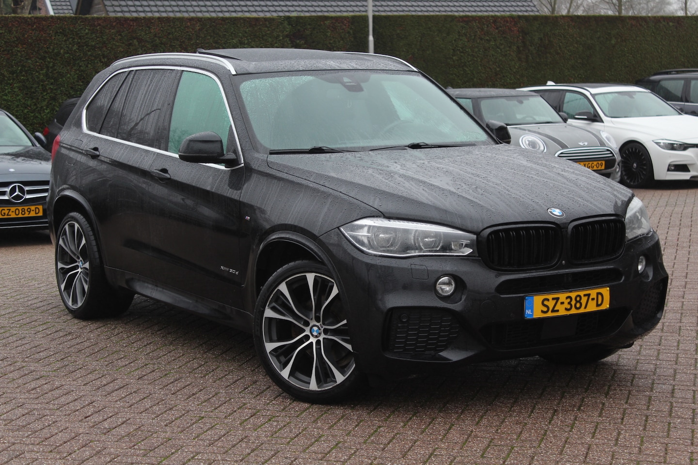 BMW X5 - xDrive30d High Executive 7p. / Full option! / Trekhaak / Panoramadak / 360Camera / Head-up - AutoWereld.nl