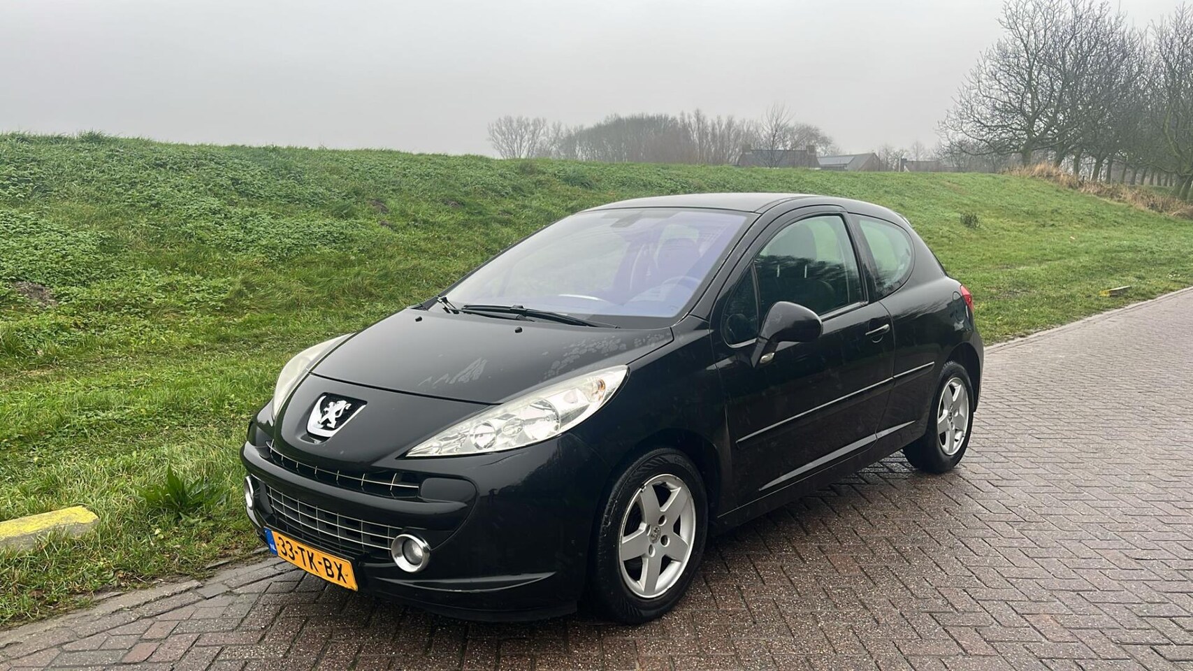 Peugeot 207 - 1.4i 16V XS Pack Cruise Climate Control Panoramadak Mistlampen LM Velgen - AutoWereld.nl