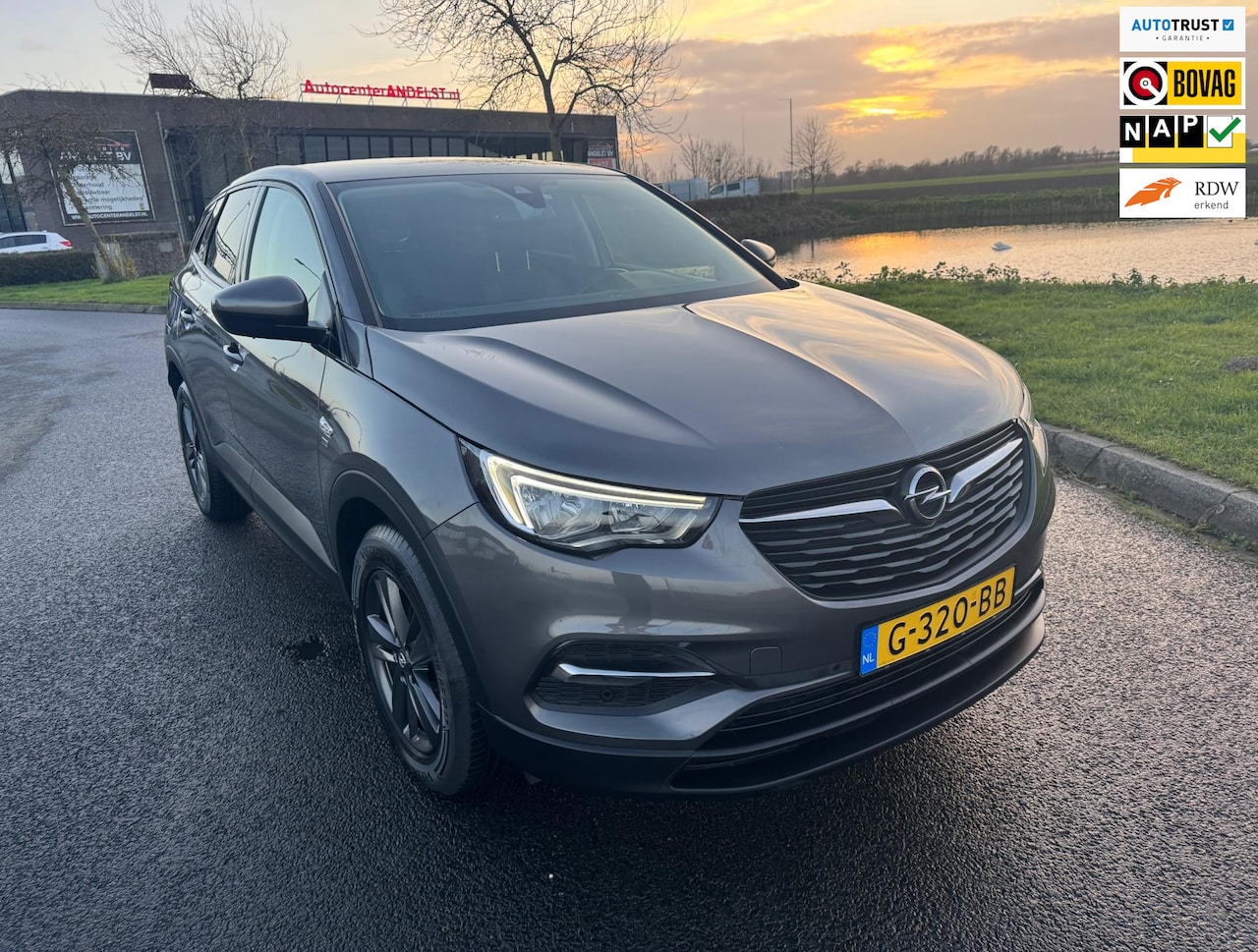 Opel Grandland X - 1.2 Turbo 120 Jaar Edition 1.2 Turbo 120 Jaar Edition, Aut, 1e eig, Geen import, Nap, Volledig oh! - AutoWereld.nl