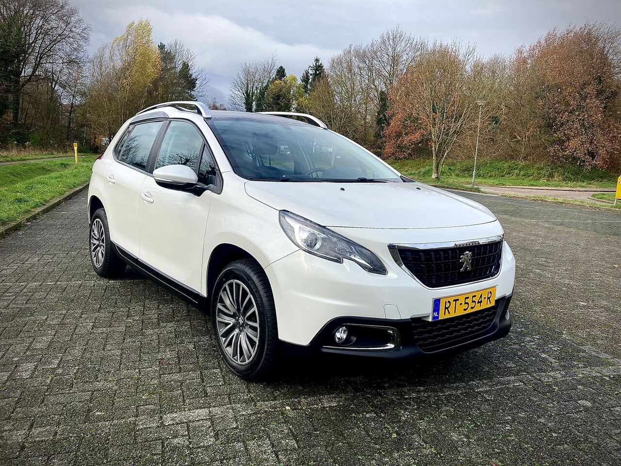 Peugeot 2008 - 1.2 PureTech Blue Lion - AutoWereld.nl