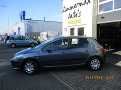 Peugeot 307 - 1.4-16v d.sIgn 2e kerst open van 10u tot 14u