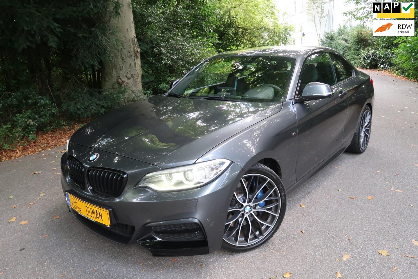 BMW 2-serie Coupé - M235i Executive 380PK Harman/Kardon Navi Andriod - AutoWereld.nl