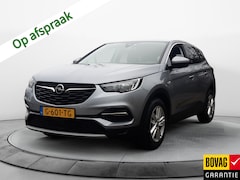 Opel Grandland X - 1.2 Turbo Business Executive (131 PK) 1e-Eig, Opel-Dealer-Onderh, 12-Mnd-Bovag, Nl-Auto, T