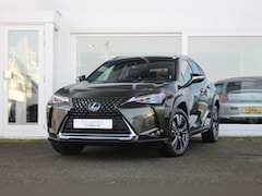 Lexus UX - 250h Hybride Business Line I Camera I Applecarplay/Android-auto