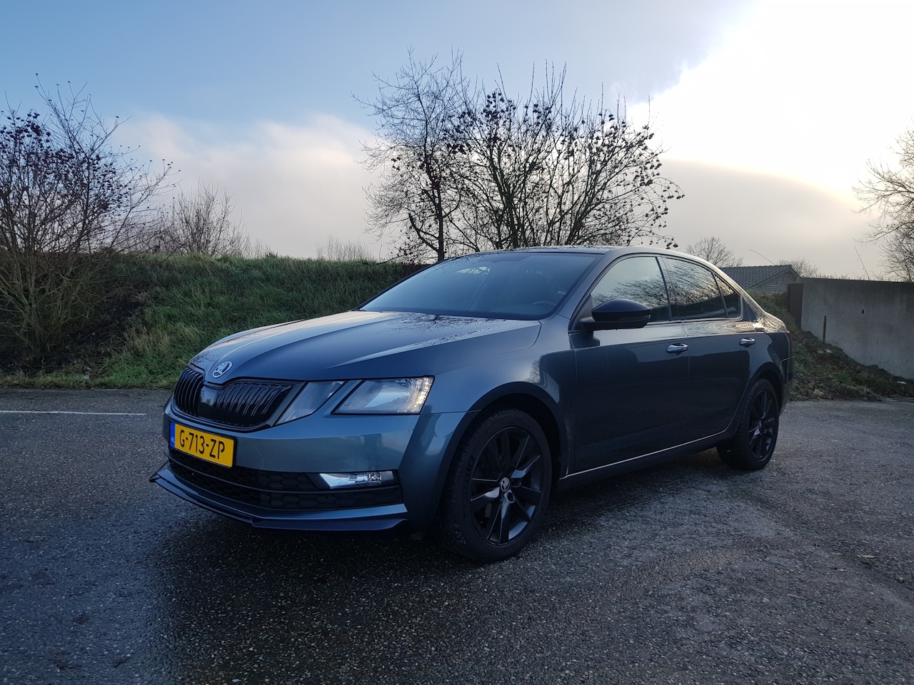 Skoda Octavia - 1.0 TSI Greentech Sport Business Panorama | Virtual Cockpit | Navi | ECC - AutoWereld.nl