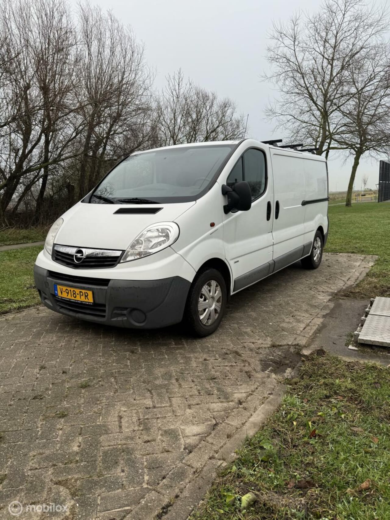 Opel Vivaro - bestel 2.0 CDTI L2H1 - AutoWereld.nl