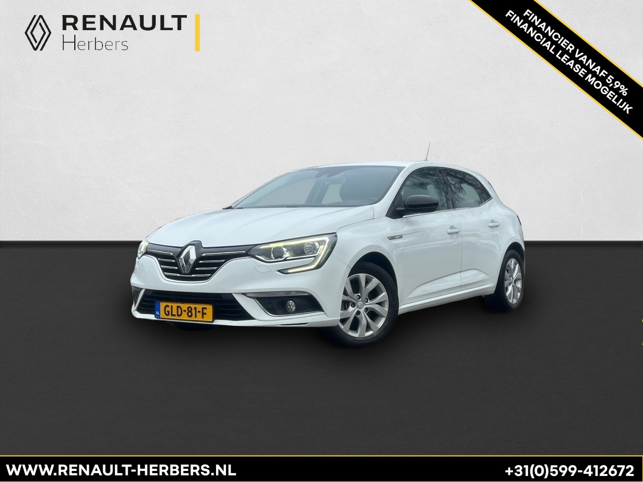 Renault Mégane - 1.3 TCe Limited 140 pk CAMERA / NAVI / PDC V+A - AutoWereld.nl