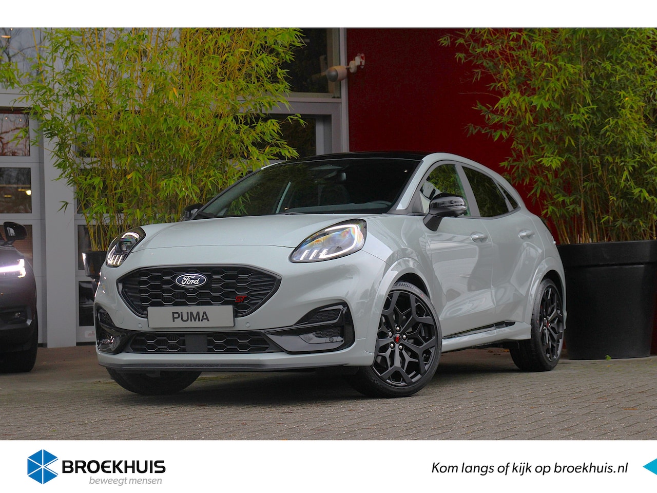 Ford Puma - 1.0 EcoB. Hybrid 170pk ST | ST-Performance Pack | Pano dak - AutoWereld.nl