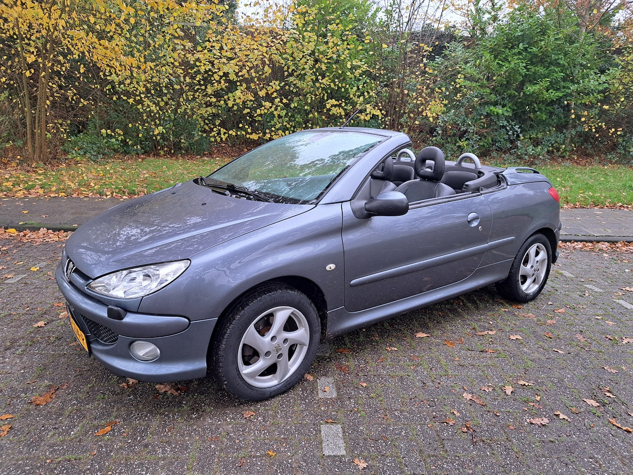 Peugeot 206 CC - 1.6-16V Cabriolet - AutoWereld.nl