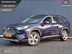 Toyota RAV4 - 2.5 Hybrid Executive | 360gr. camera | elektr. bestuurdersstoel | JBL | NL-auto |