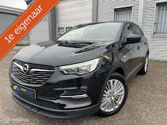 Opel Grandland X - 1.2 Turbo / 1ste eigenaar / Acht. Camera / Nieuwe Motor /