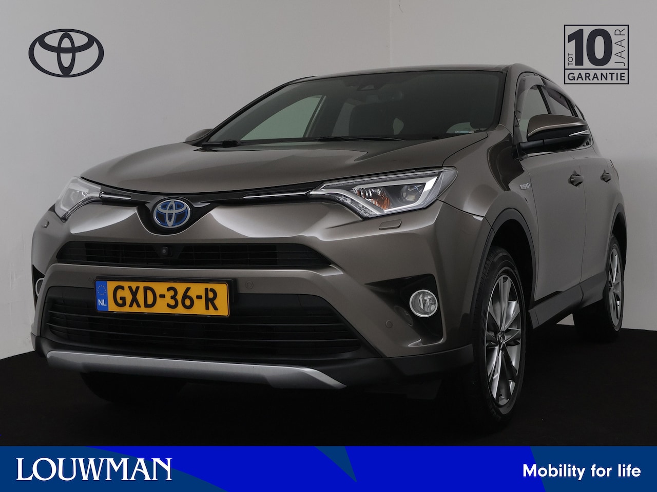 Toyota RAV4 - 2.5 Hybrid Executive Limited | Lederen bekleding | 360 Camera | - AutoWereld.nl