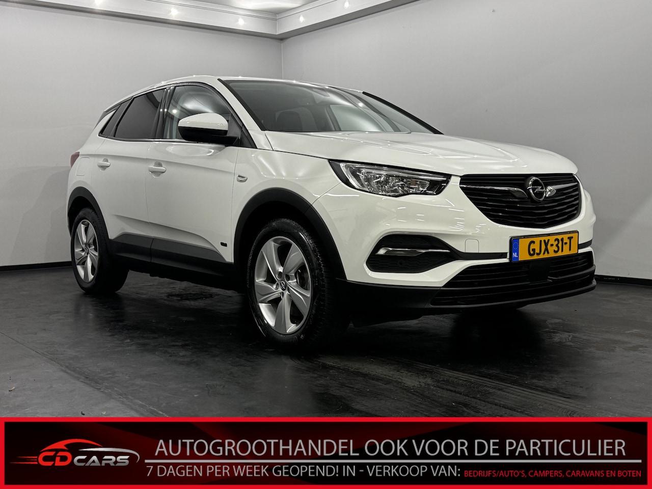 Opel Grandland X - 1.6 Turbo Hybrid Business Elegance Plug-in Half leder, Navi, Parkeer sensoren, Keyless sta - AutoWereld.nl