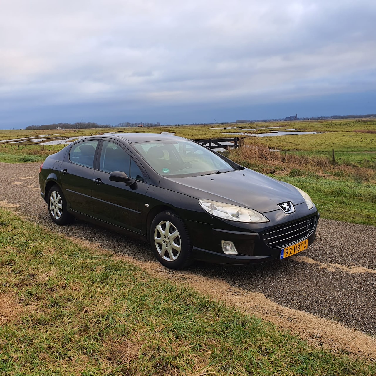 Peugeot 407 - 1.8 SR Pack Business Clima/Cruise - AutoWereld.nl