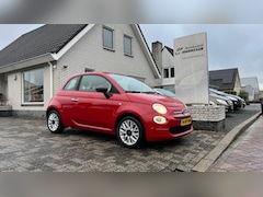 Fiat 500 - 0.9 twinair Turbo young